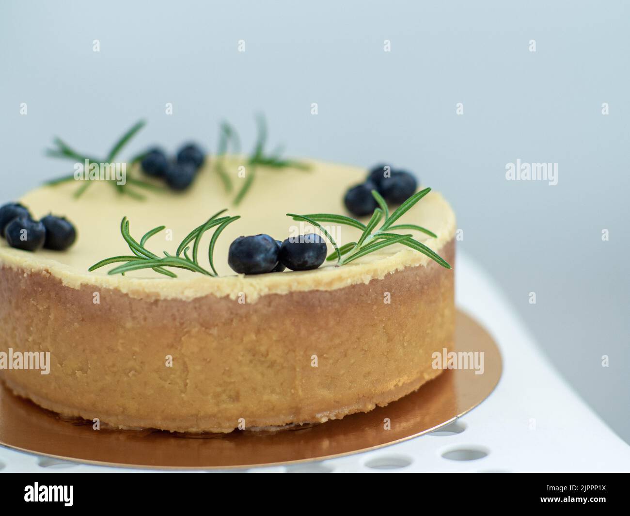 Käsekuchen mit Heidelbeerbeeren und Rosmarinzweigen Stockfoto