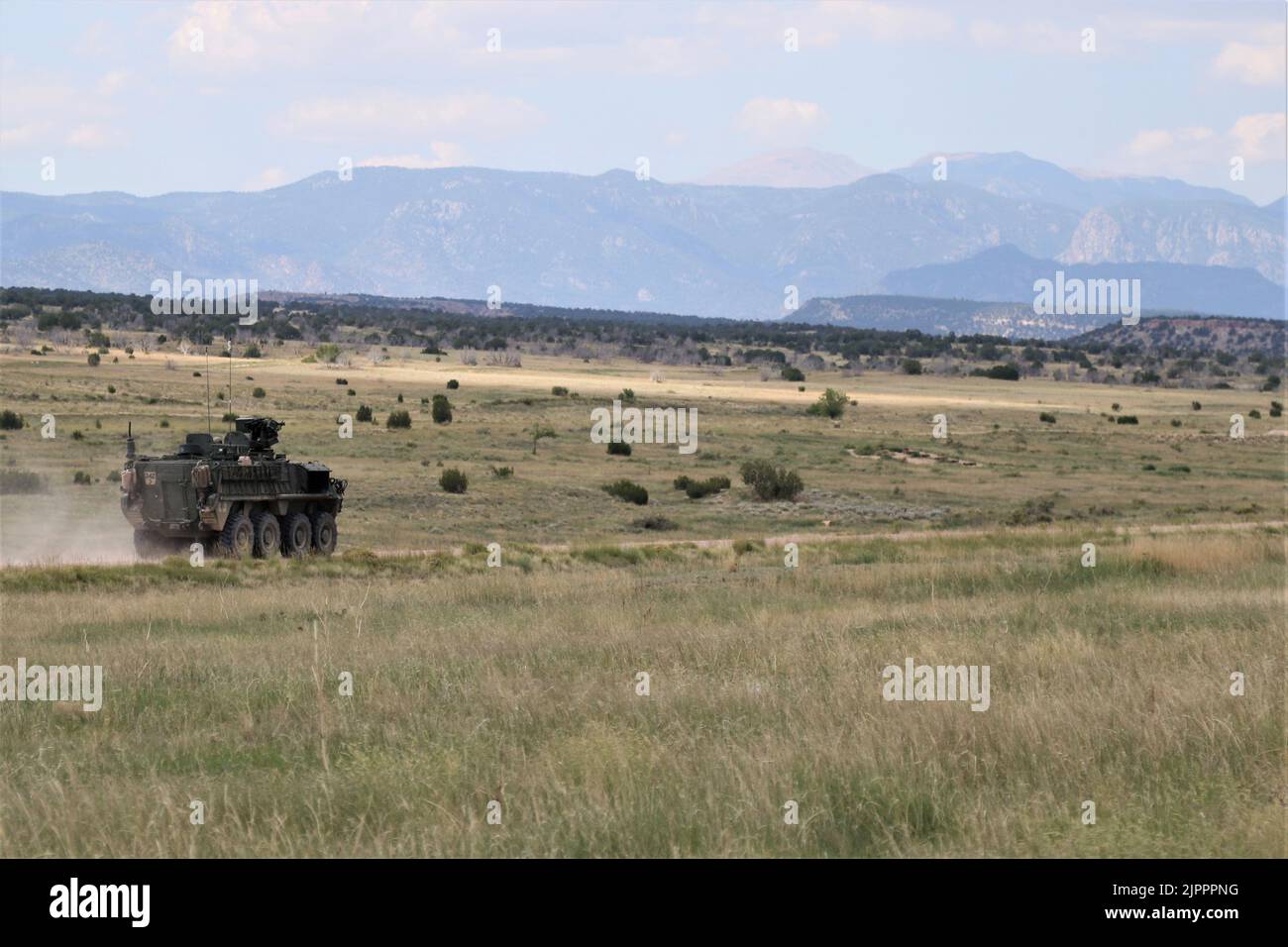 Ein Aufklärungsfahrzeug M1127 mit 3. Squadron, 61. Kavallerieregiment, 2. Stryker Brigade Combat Team, 4. Infantry Division manövriert auf der Spur während der Qualifikation der Stryker-SchützenTabelle V auf Fort Carson, Colorado, 18. August. Die Qualifikation der Schützenmannschaft bestätigt die Mannschaften als geschlossene Teams, die in der Lage sind, als Stryker-Crew zu schießen, sich zu bewegen und effektiv zu kommunizieren. Foto der US-Armee von Maj. Jason Elmore. Stockfoto