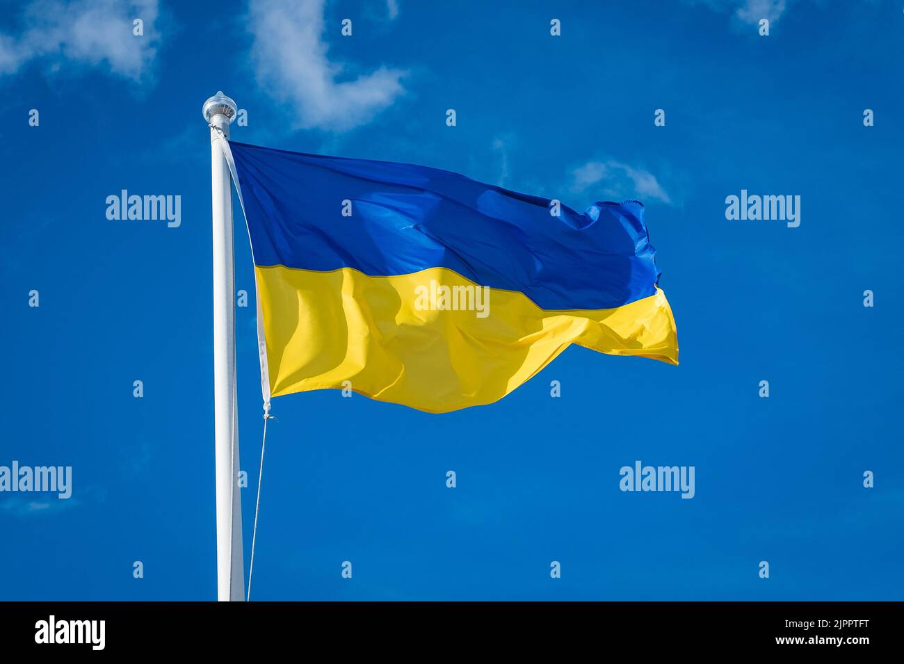 Flagge der Ukraine auf weißem Himmel Hintergrund. Nationales Symbol für Freiheit und Unabhängigkeit. Ukrainische Flagge winkt im Wind. Stockfoto