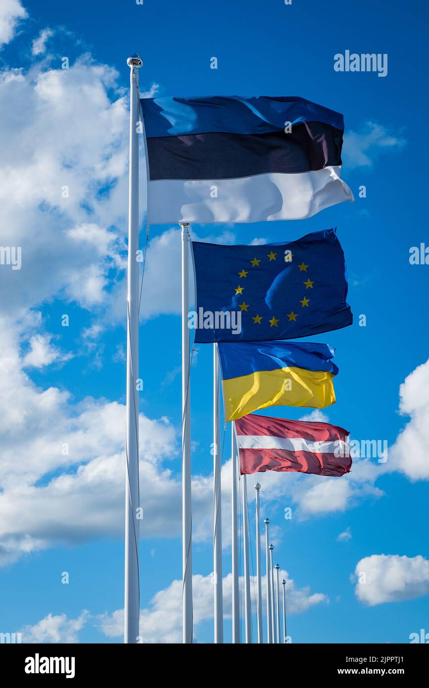 Die Flaggen Estlands, der Europäischen Union, der Ukraine und Lettlands winken im Wind. Estnische Flagge sowie EU-, ukrainische und lettische Flaggen. Stockfoto
