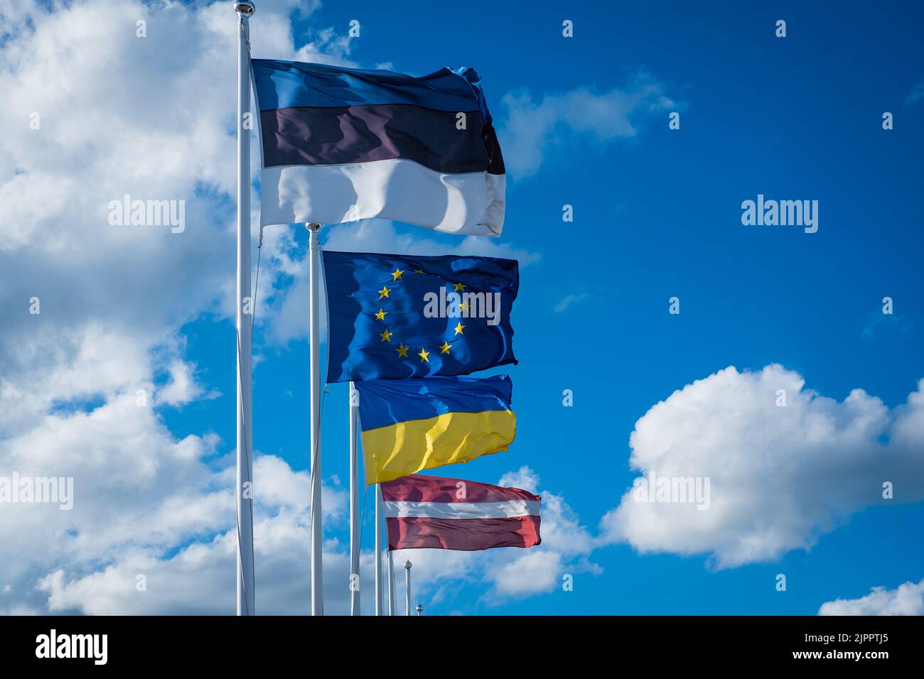 Die Flaggen Estlands, der Europäischen Union, der Ukraine und Lettlands winken im Wind. Estnische Flagge sowie EU-, ukrainische und lettische Flaggen. Stockfoto