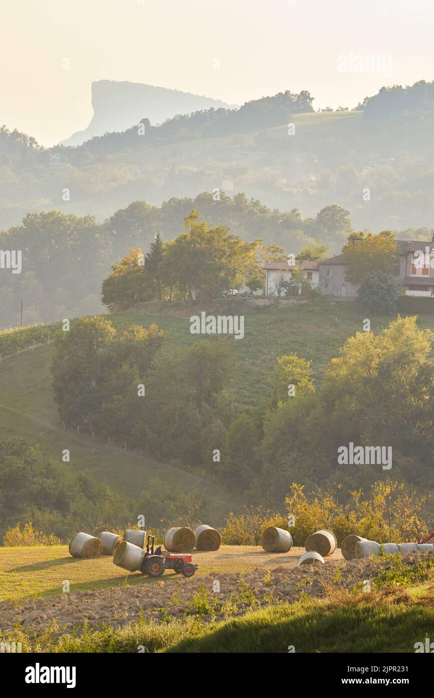 Ein Landwirt auf einem Traktor sammelt Heuballen in den Hügeln von Appennino Reggiano, mit dem Stein „Pietra di Bismantova“ im Hintergrund, Reggio Emilia, Italien. Stockfoto
