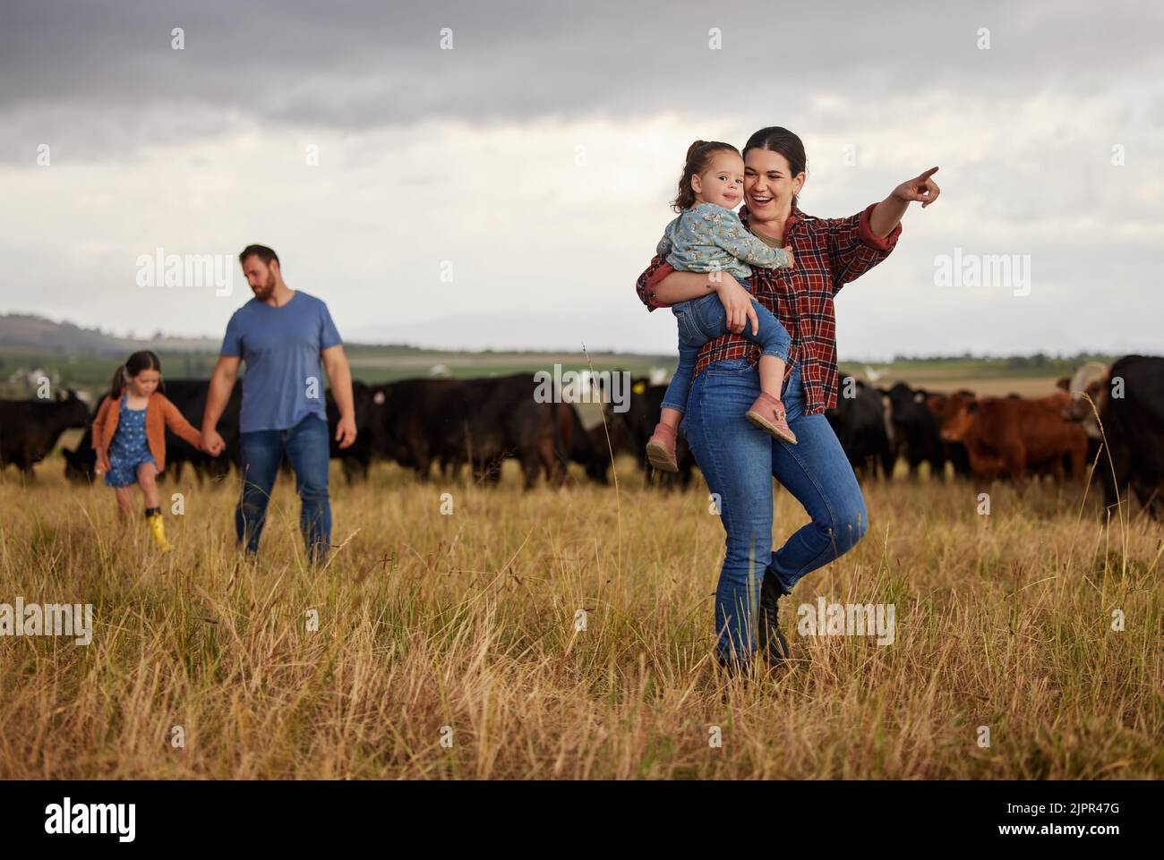 Glückliche Familie verbindet sich auf einer Rinderfarm, geht spazieren und sieht Tiere an, entspannt sich gemeinsam im Freien. Junge Eltern zeigen Mädchen, wie sie sich um sie kümmern Stockfoto