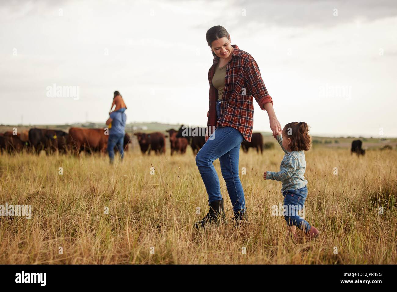 Nachhaltige Landwirtschaft Familie, Kühe auf landwirtschaftlichen Bauernhof mit rustikalen, Land oder Natur Gras Hintergrund. Bäuerin Mutter, Vater und Kinder mit Vieh oder Stockfoto