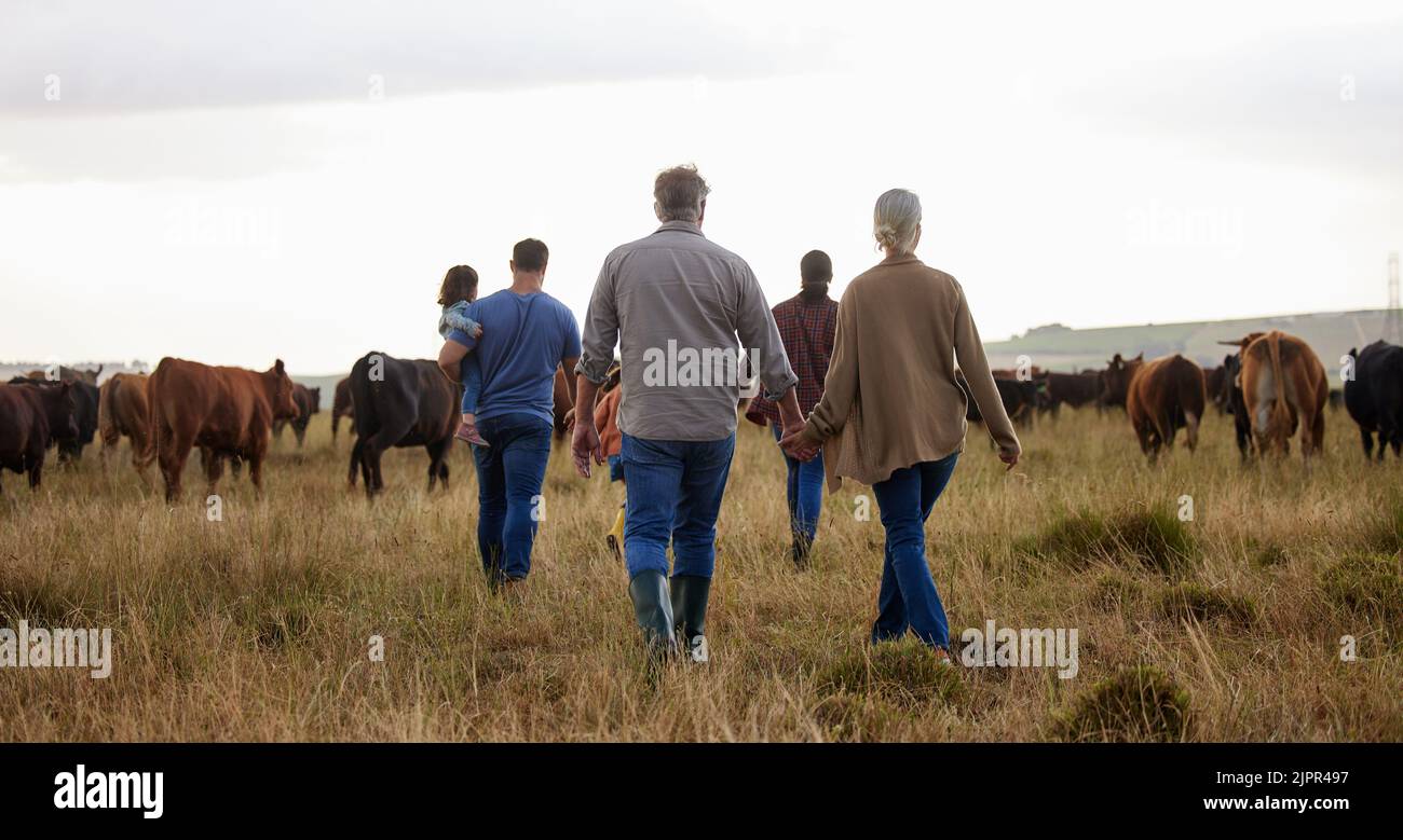 Bauernhof, Land und Familie mit Kühen auf Landwirtschaft Grasfeld in der Natur. Bauernmutter, Vater und Kinder mit Großeltern und Vieh oder nachhaltig Stockfoto