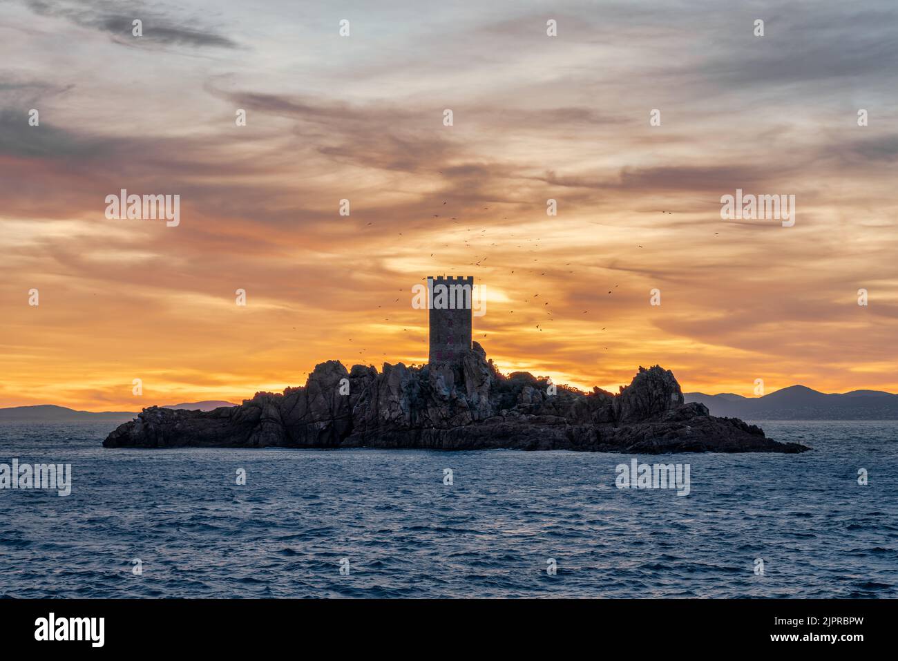 Blick auf die ile D'Or in Saint Raphael, Französische riviera, Cote d'Azur, Frankreich Stockfoto