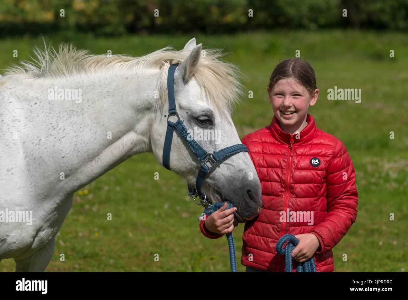 Mädchen, 10 Jahre, mit ihrem Pferd auf der Weide, Mecklenburg-Vorpommern, Deutschland Stockfoto