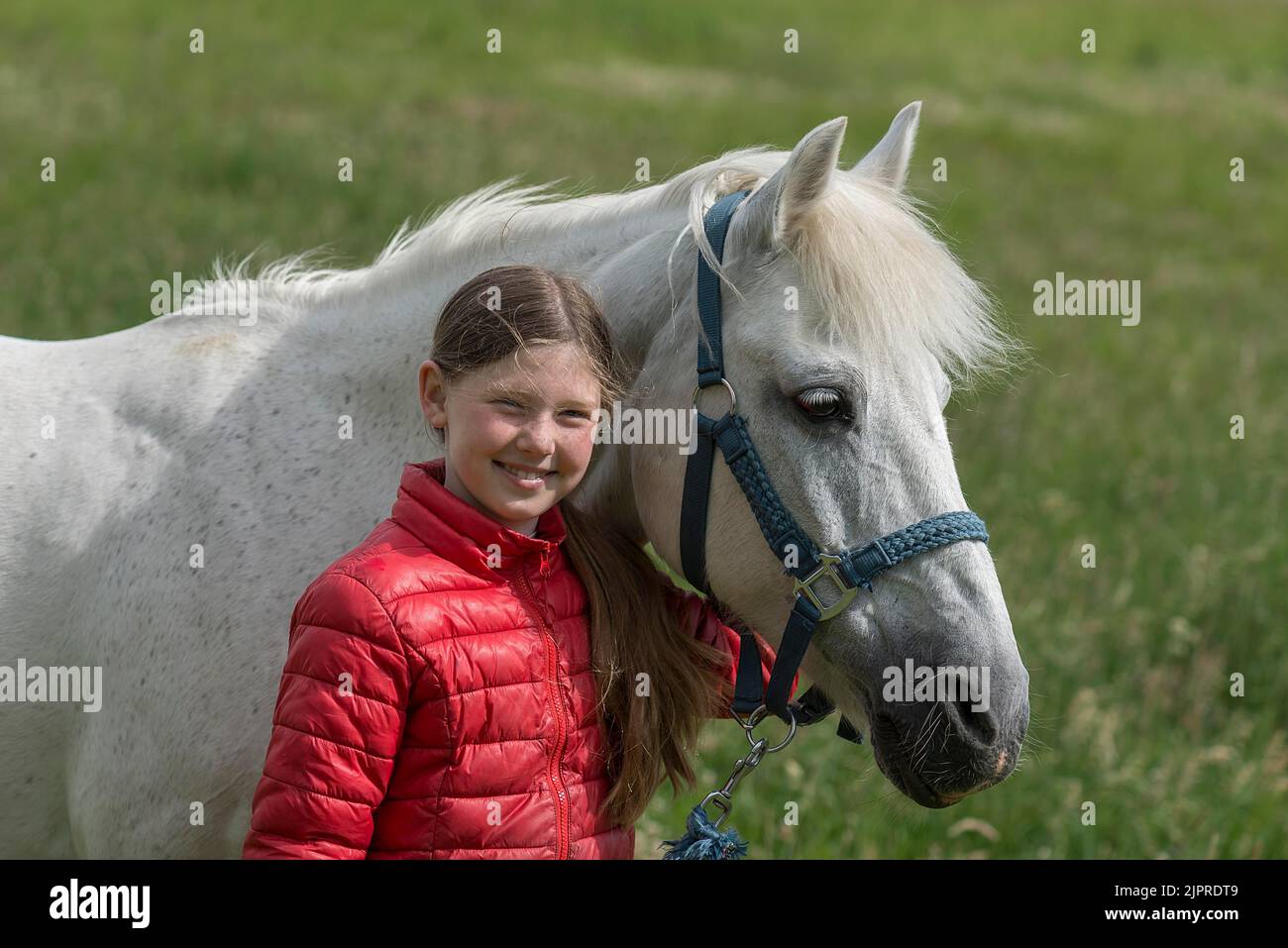 Mädchen, 10 Jahre, mit ihrem Pferd auf der Weide, Mecklenburg-Vorpommern, Deutschland Stockfoto