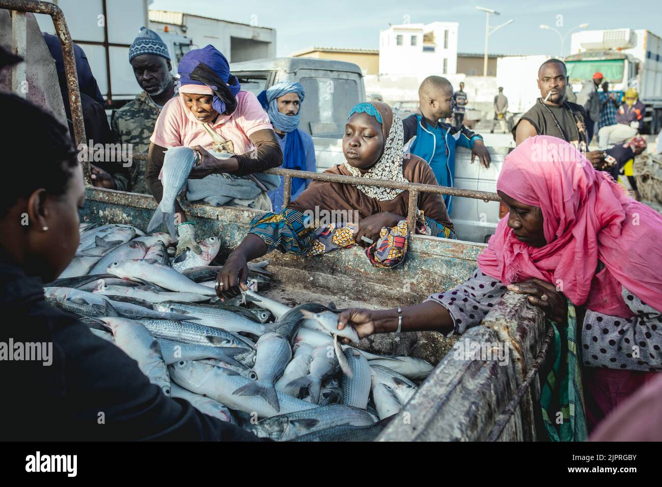 Frauen, die Fisch vom LKW kaufen oder Beifang suchen, Port de Peche Traditionelle, Nouadhibou, Mauretanien Stockfoto