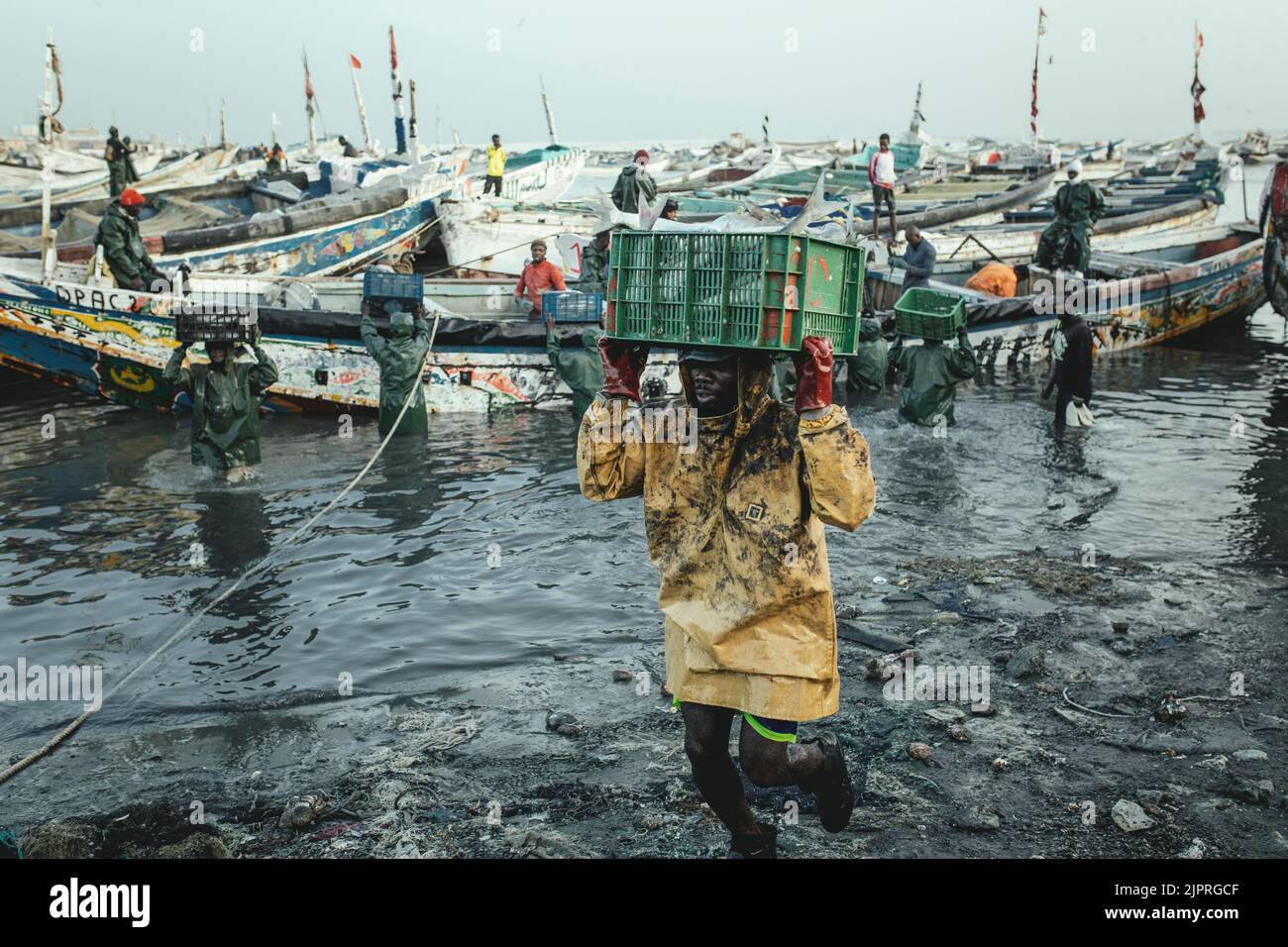 Entladen des Fells im Hafen, Port de Peche Traditionelle, Nouadhibou, Mauretanien Stockfoto