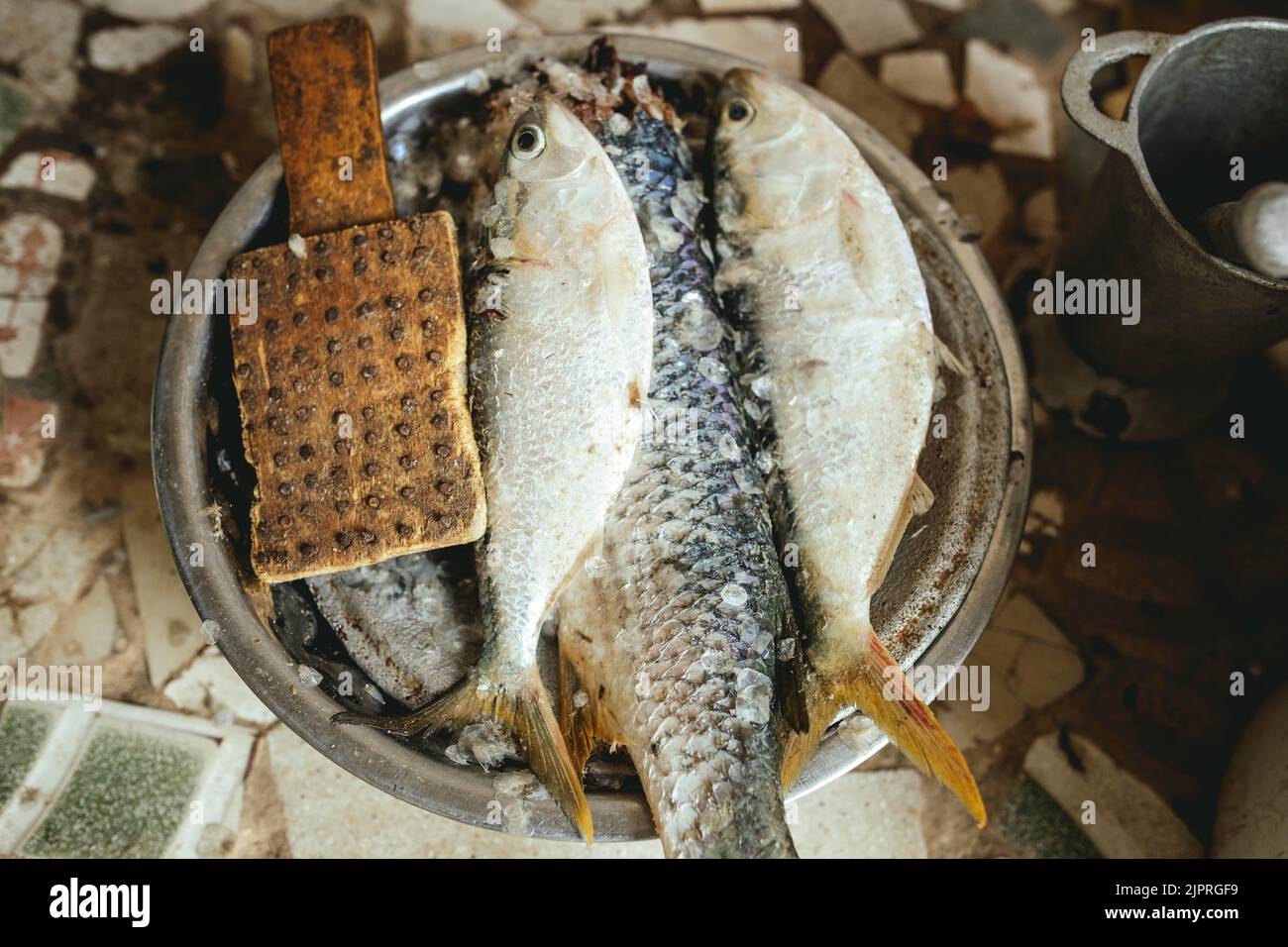 Zubereitung von Lebensmitteln für die Familie, Reis mit Fisch, das traditionelle Gericht der Fischer und Bewohner der Küstenregion, Nouamghar, Mauretanien Stockfoto