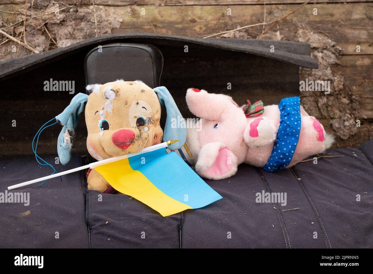 Während des Krieges in der Ukraine, dem Tod von Kindern durch russische Soldie, liegt auf dem Hof ein schmutziges zerbrochenes Kinderspielzeug und die Flagge der Ukraine Stockfoto