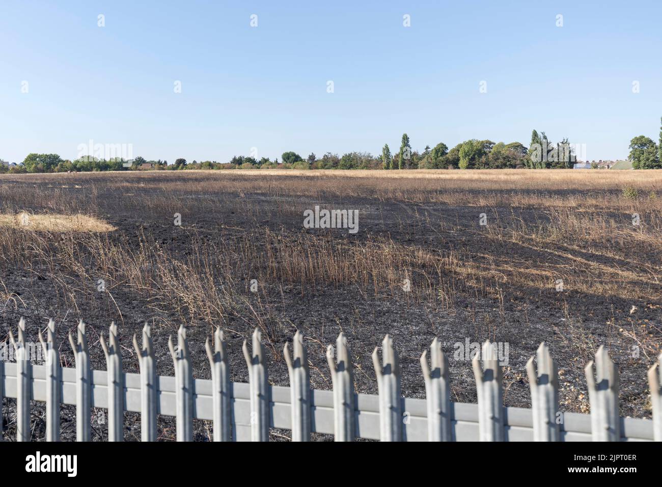 Auf der Lambs Lane South in Rainham, London, brach ein Grasbrand aus. Zehn Feuerwehrfahrzeuge und rund 70 Feuerwehrleute nahmen das Feuer in Angriff. Das Vereinigte Königreich ist hoch Stockfoto