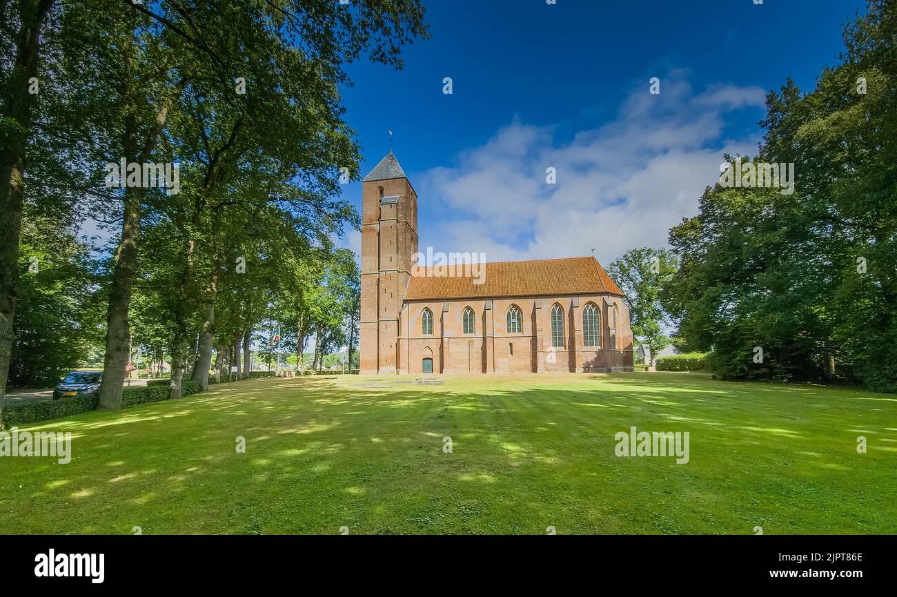 Sommerlandschaft mit historischem Wahrzeichen die Clemenskerk außerhalb des Dorfzentrums von Havelte in der niederländischen Provinz Drenthe, umgeben von alter Eiche Stockfoto