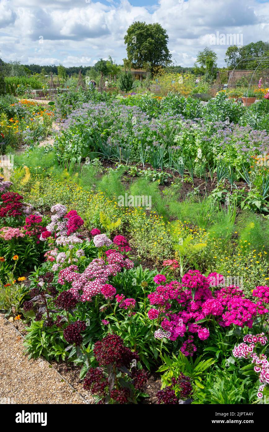 Weston Walled Garden in der RHS Bridgewater, Greater Manchester, England. Stockfoto