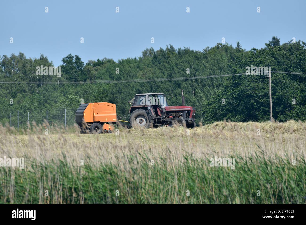 Der Ursus-Traktor wird beim Heumähen auf der Wiese nicht mehr produziert Stockfoto