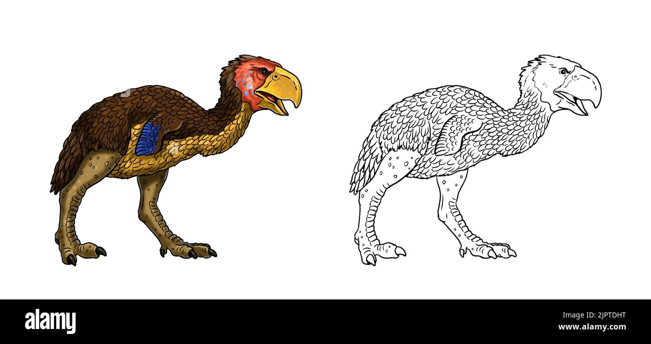 Prähistorische Raubvögel - gastornis. Zeichnung mit ausgestorbenen Raubtieren Terrorvögel. Malbuch. Stockfoto