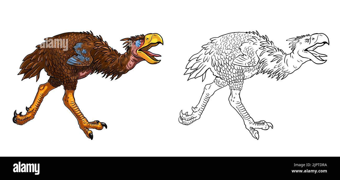 Prähistorische Raubvögel - Titanis. Zeichnung mit ausgestorbenen Raubtieren Terrorvögel. Malbuch. Stockfoto