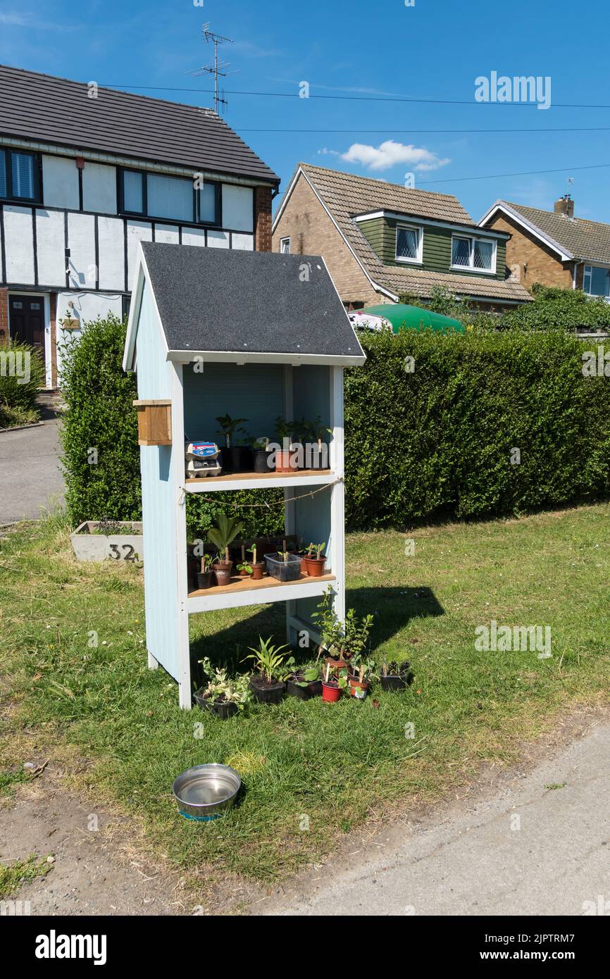 Hausgemachter Showstand mit Eiern und jungen Topfpflanzen zum Verkauf. Stockfoto