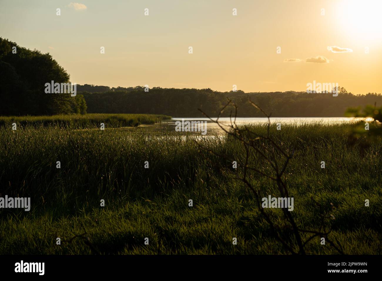 Sonnenuntergang über einem sumpfigen See im mittleren Westen mit Wolken Stockfoto