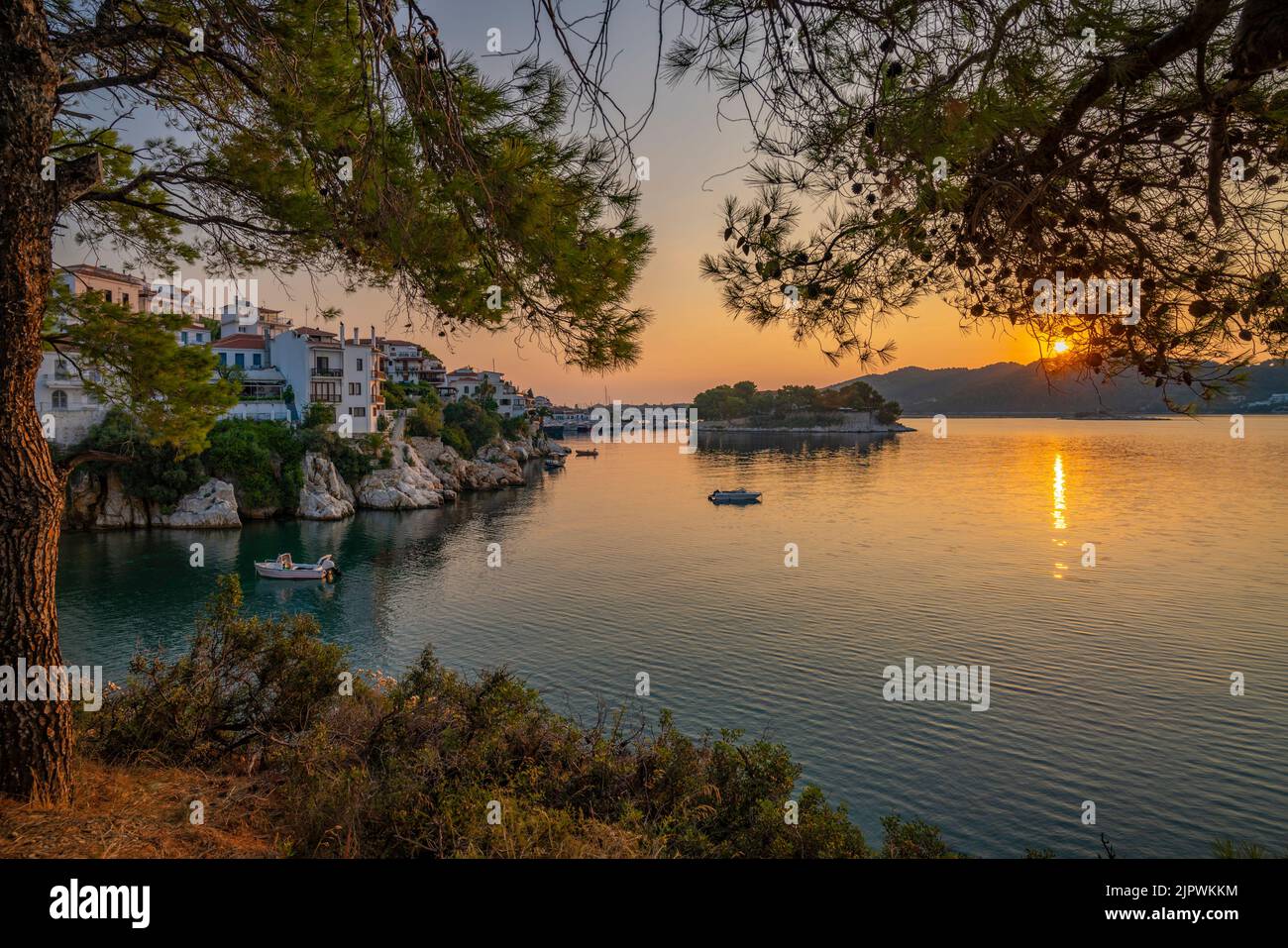Blick auf die von Bäumen umrahmte Altstadt bei Sonnenaufgang, Skiathos-Stadt, Skiathos-Insel, Sporaden-Inseln, griechische Inseln, Griechenland, Europa Stockfoto