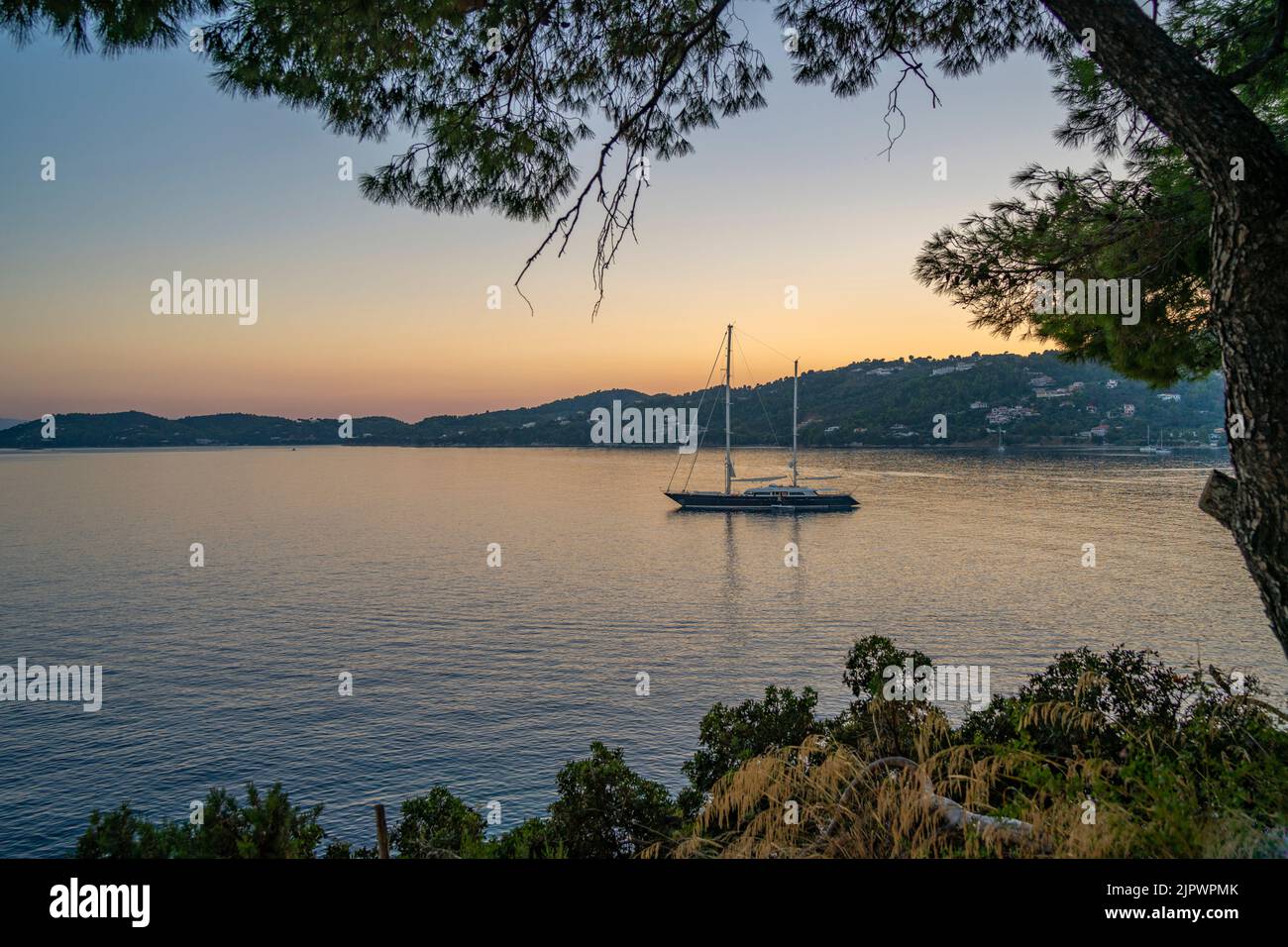 Blick auf Segelboot in der Ägäis, eingerahmt von Bäumen in der Abenddämmerung, Skiathos Stadt, Skiathos Insel, Sporaden Inseln, griechische Inseln, Griechenland, Europa Stockfoto