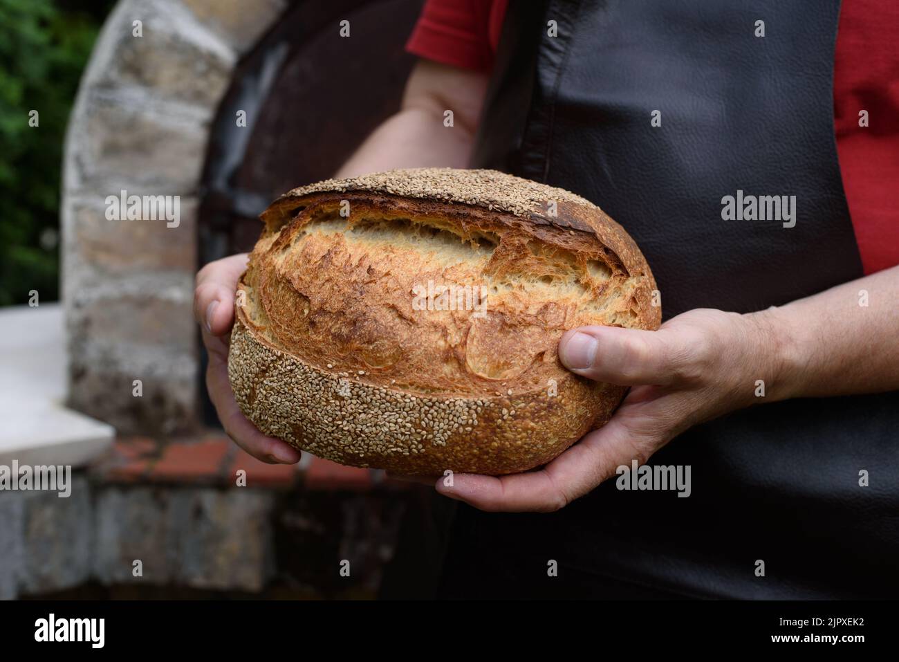 Hausgemachtes Brot aus Kamut-Mehl mit Sauerteig. Stockfoto