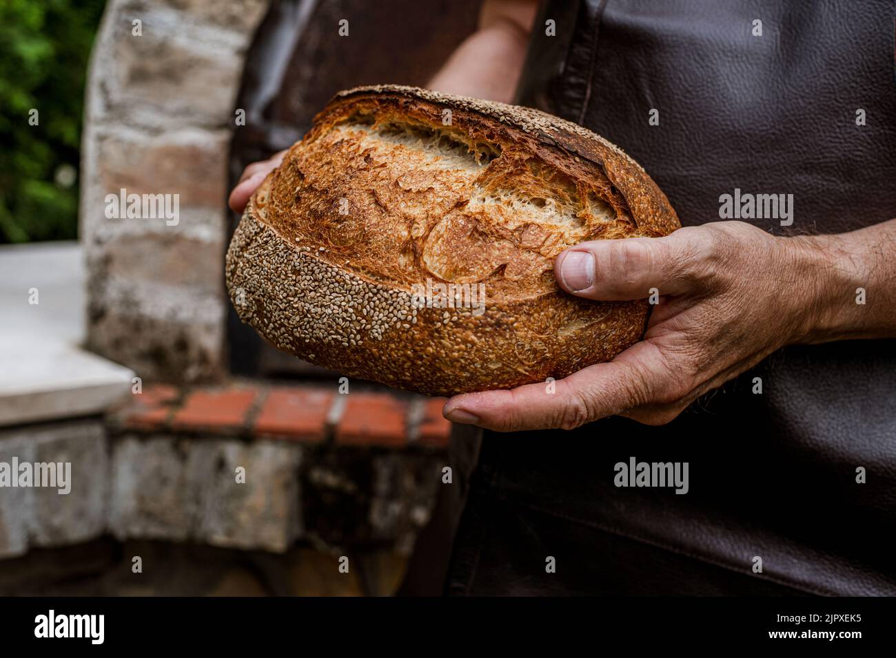 Hausgemachtes Brot aus Kamut-Mehl mit Sauerteig. Stockfoto