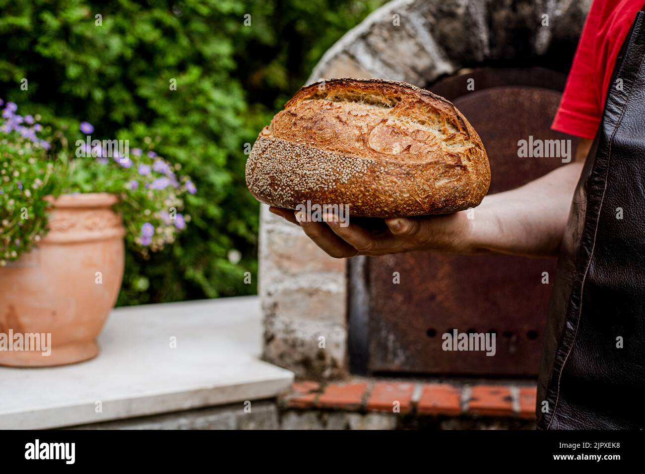 Hausgemachtes Brot aus Kamut-Mehl mit Sauerteig. Stockfoto