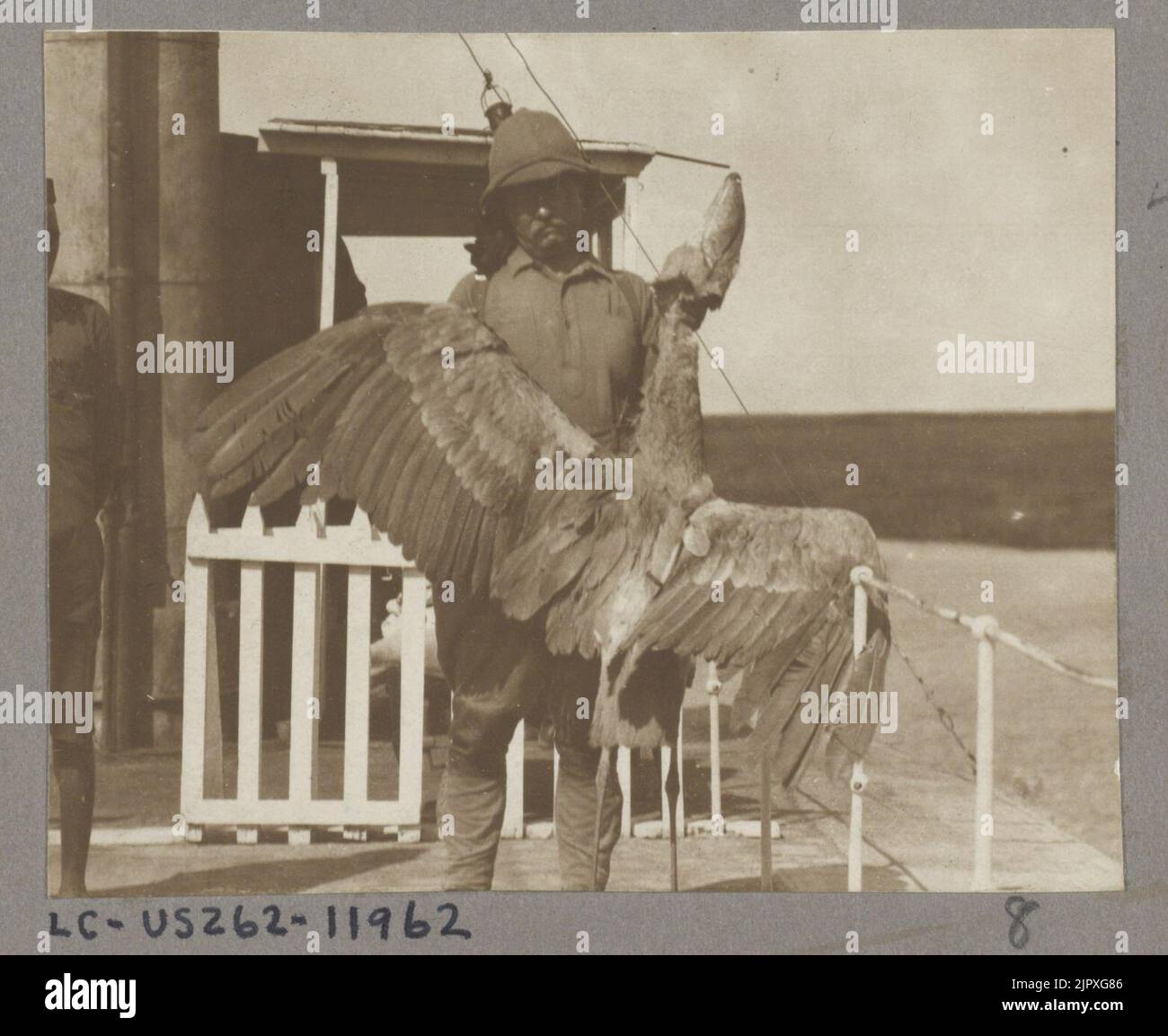 Theodore Roosevelt mit einem Wal-billed Stork auf Safari getötet Stockfoto