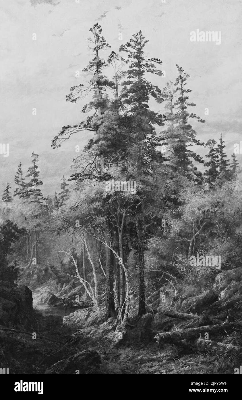 Thomas Mower Martin (1838-1934) - ''die unberührte Wildnis'', die unerbeteten Wildnis Kanadas Stockfoto