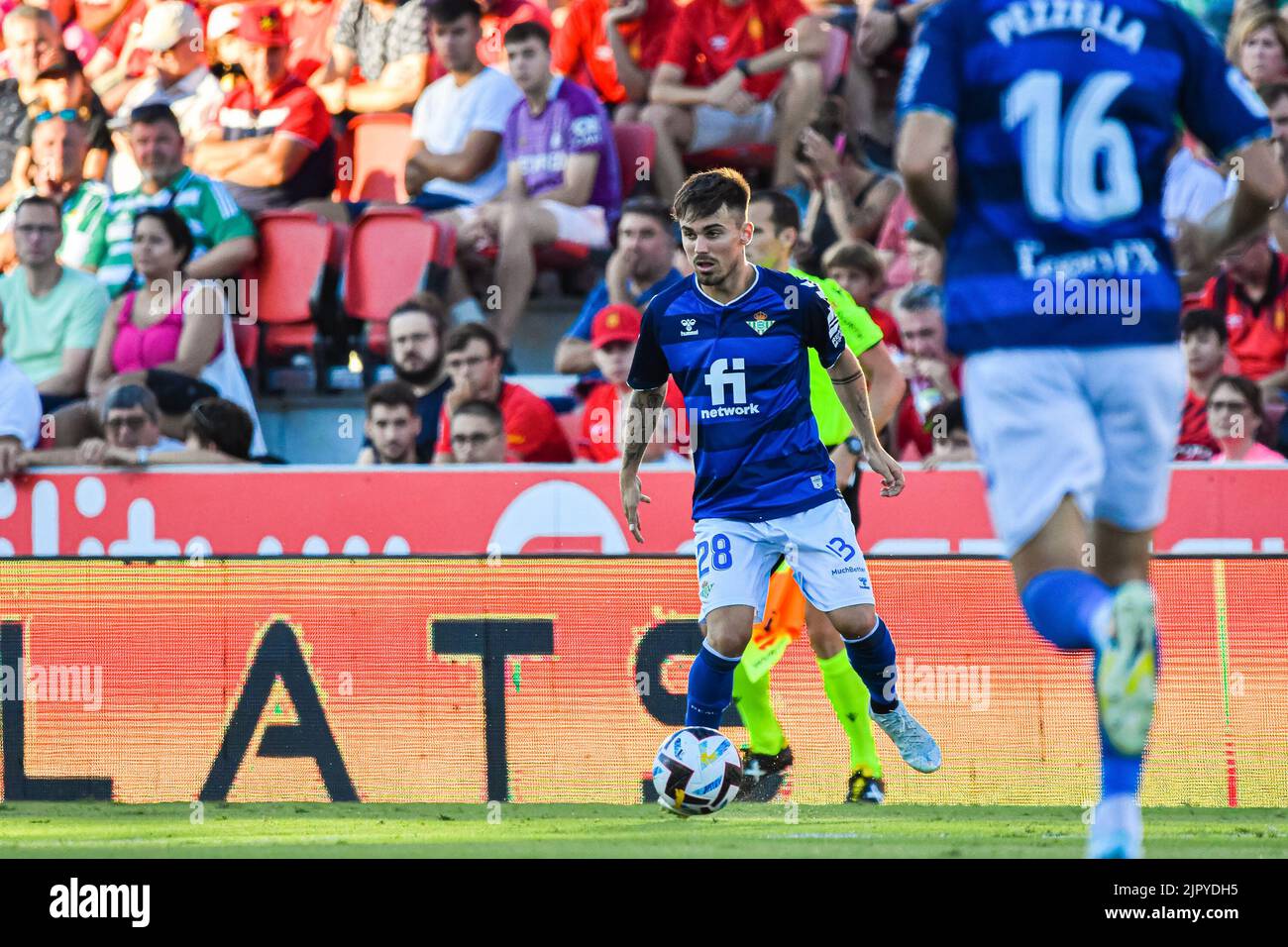 MALLORCA, SPANIEN - 20. AUGUST: Rodri Sanchez von Real Betis im Spiel zwischen RCD Mallorca und Real Betis von La Liga Santander am 20. August 2022 im Visit Mallorca Stadium Son Moix auf Mallorca, Spanien. (Foto von Samuel Carreño/PxImages) Stockfoto