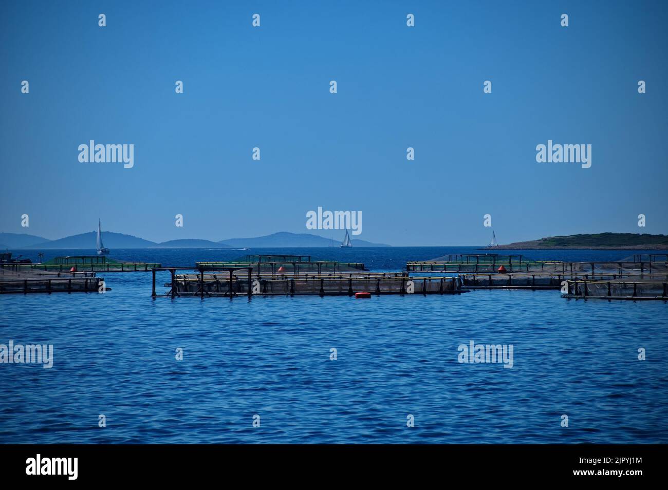 Käfige der Fischfarm in der Adria Stockfoto