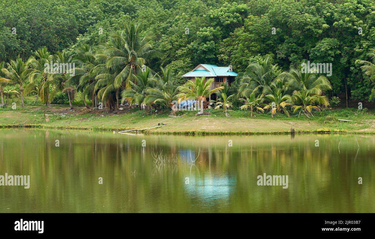 Eine verträumte Landschaft, ein kleines Haus in tropischen üppigen grünen Wäldern, an einem ruhigen See. Stockfoto