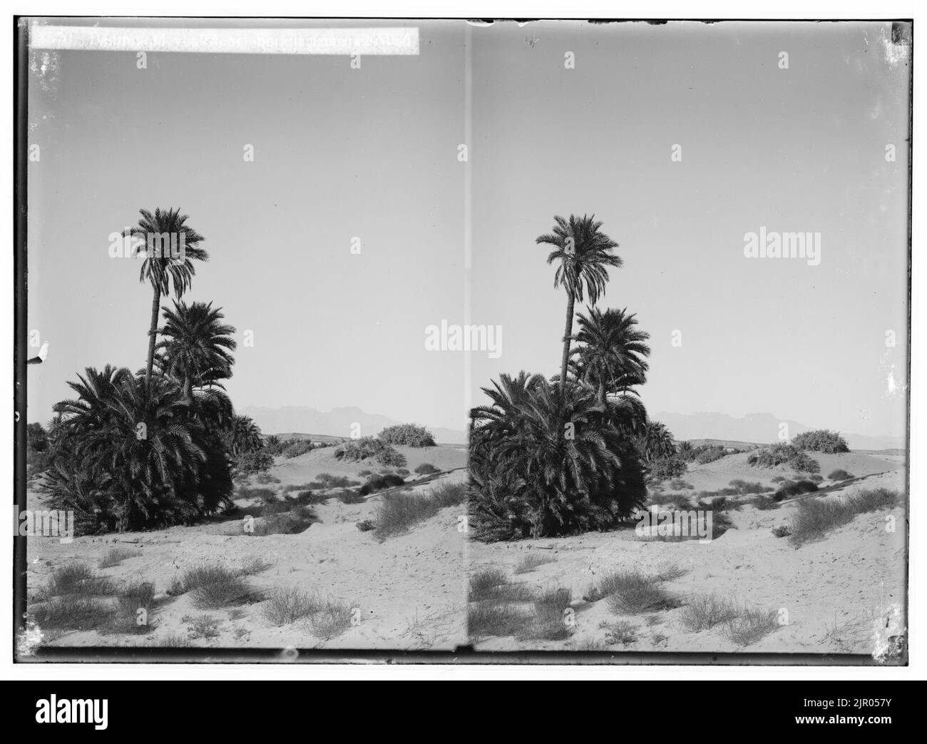 Zum Sinai, über das Rote Meer, Tor, und Wady Hebran. Fernsicht auf Jebel Serbal aus el-Wad. Stockfoto