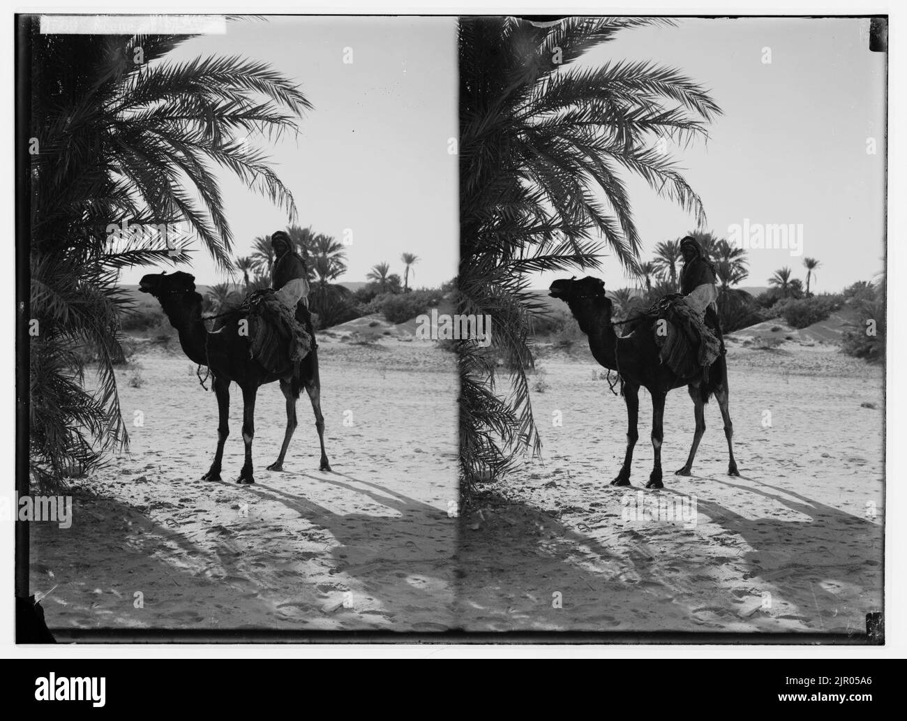 Zum Sinai, über das Rote Meer, Tor, und Wady Hebran. Szene an el-Wad. Stockfoto