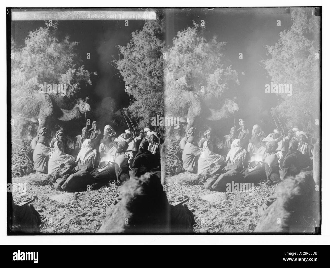 Zum Sinai, über das Rote Meer, Tor, und Wady Hebran. Typische Szene um das Lagerfeuer am Abend. Stockfoto
