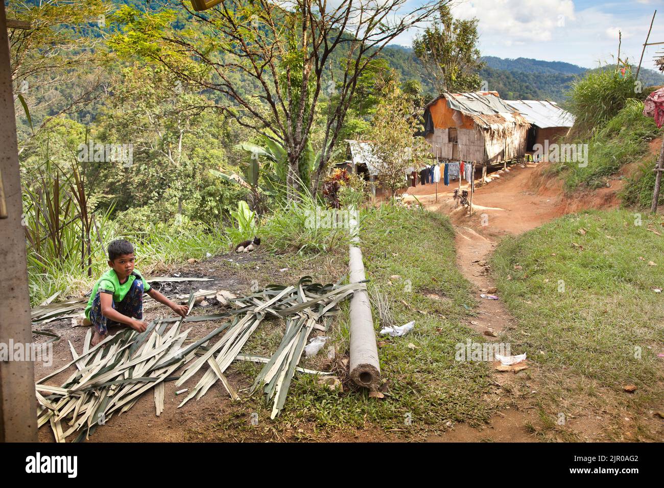 Orang asli Siedlung, Cameron Highlands, kleiner Junge sammelt Brennholz Stockfoto
