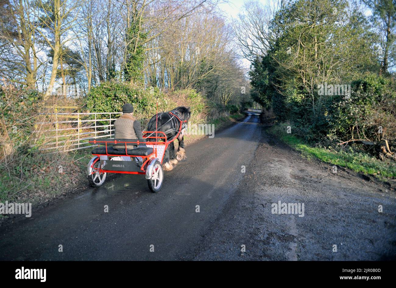 Mann, der auf der Landstraße in broome norfolk england Pferd und Wagen fährt Stockfoto