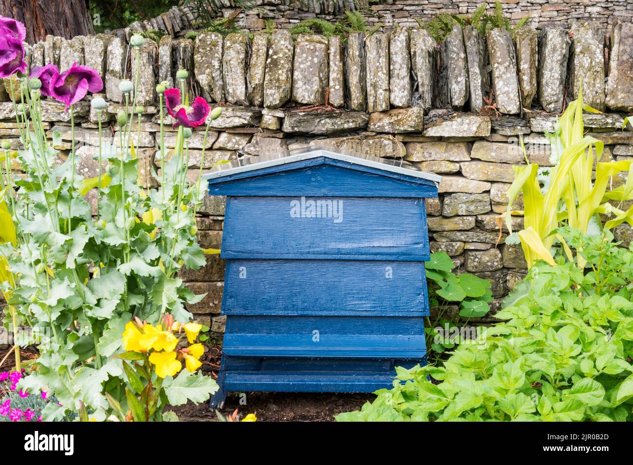 Ein blauer, traditioneller Bienenstock aus Holz vor einer Trockensteinmauer in einem Blumengarten im Sommer. Stockfoto