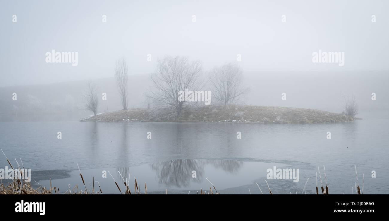 Reif auf Bäumen am Loch Cameron bei starkem Nebel, Twizel, Neuseeland. Stockfoto