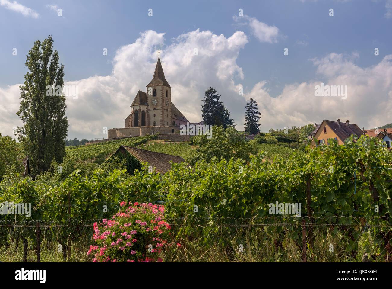 Kirche Saint-Jacques-le-Majeur in Hunawihr, Elsass, Frankreich Stockfoto