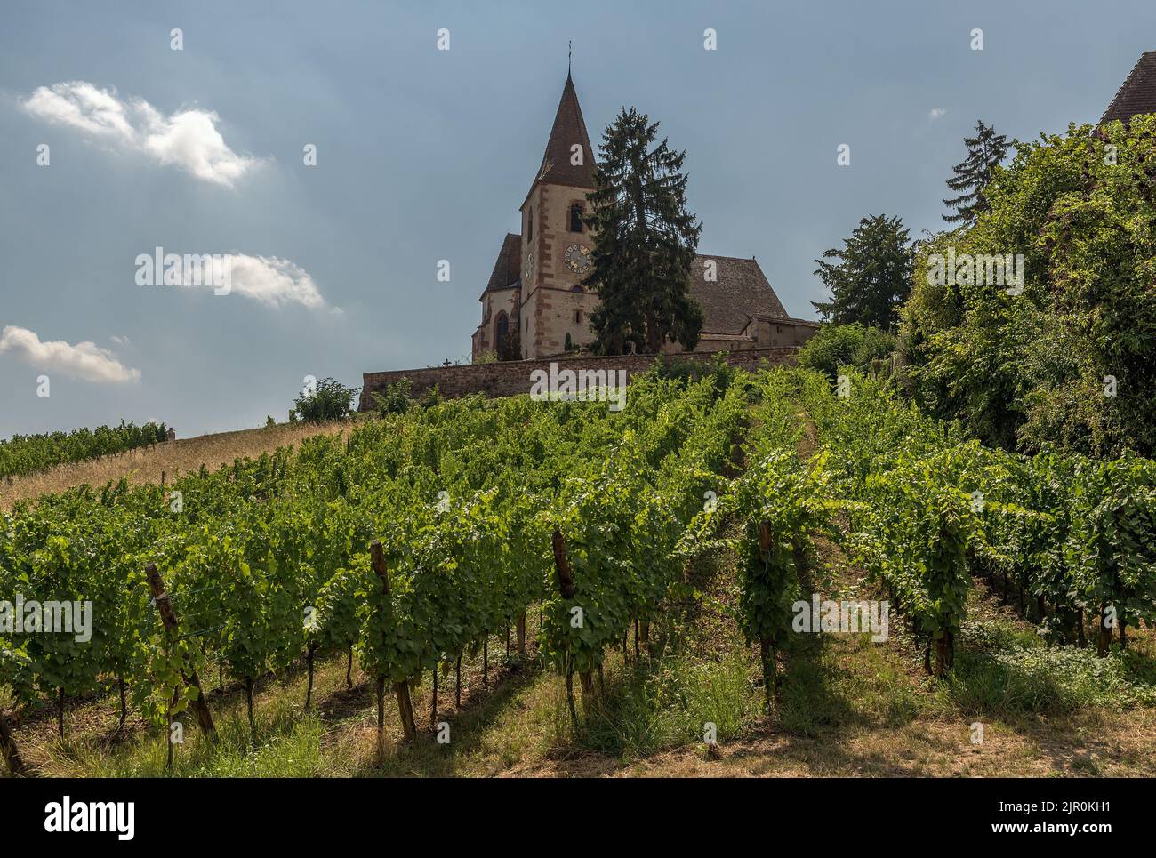 Kirche Saint-Jacques-le-Majeur in Hunawihr, Elsass, Frankreich Stockfoto