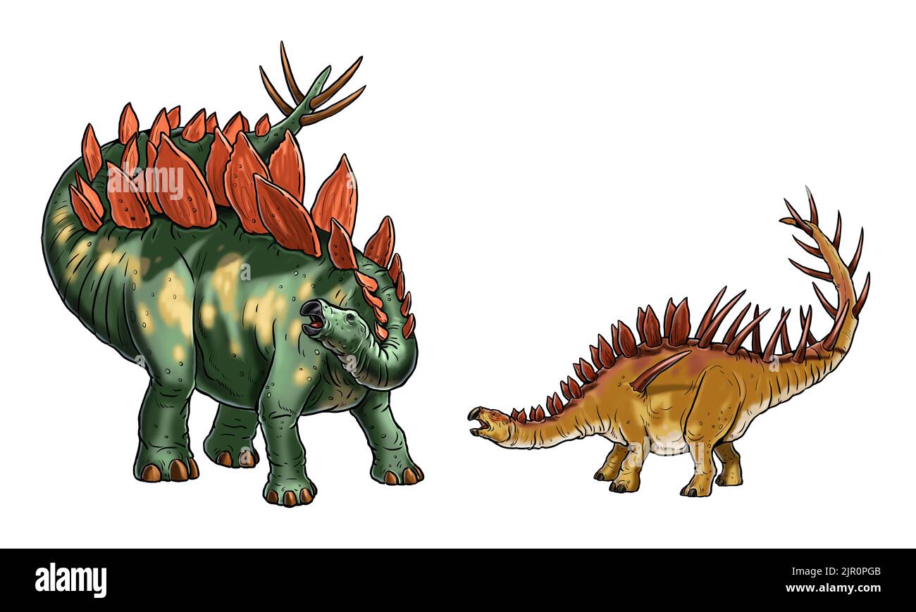 Pflanzenfressende Dinosaurier - Stegosaurus und Kentrosaurus. Dino Digitalzeichnung. Stockfoto