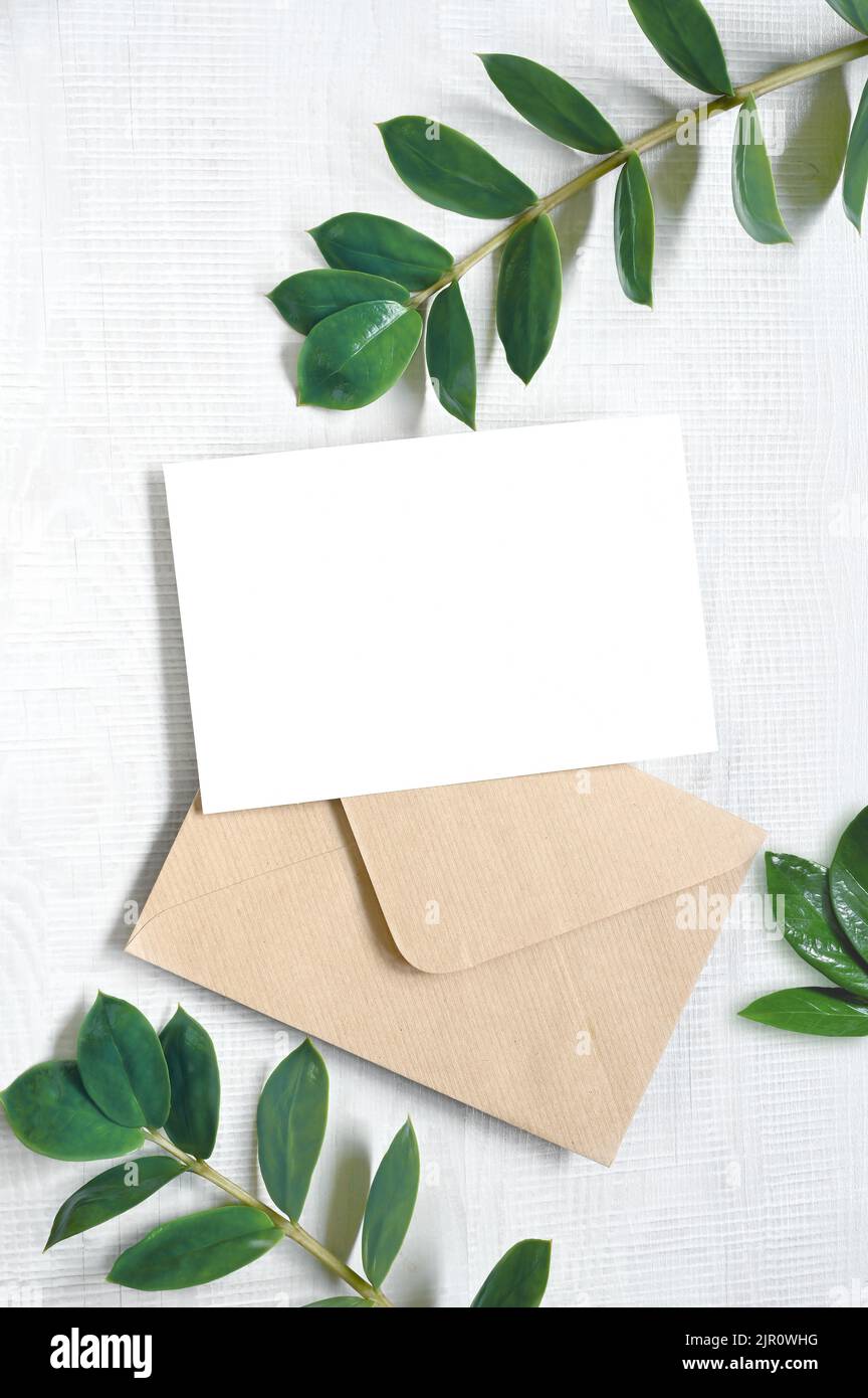 Karte mit Pflanzen nachbauen. Einladungskarte mit grauem Umschlag auf weißem Hintergrund. Stockfoto