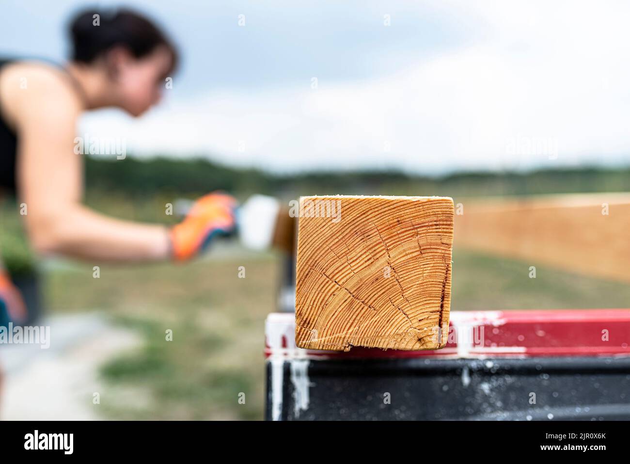 Die Frau imprägniert roh gehobelte Kiefernbalken mit Abmessungen von 100x100mm mit einer farblos imprägnierten. Stockfoto