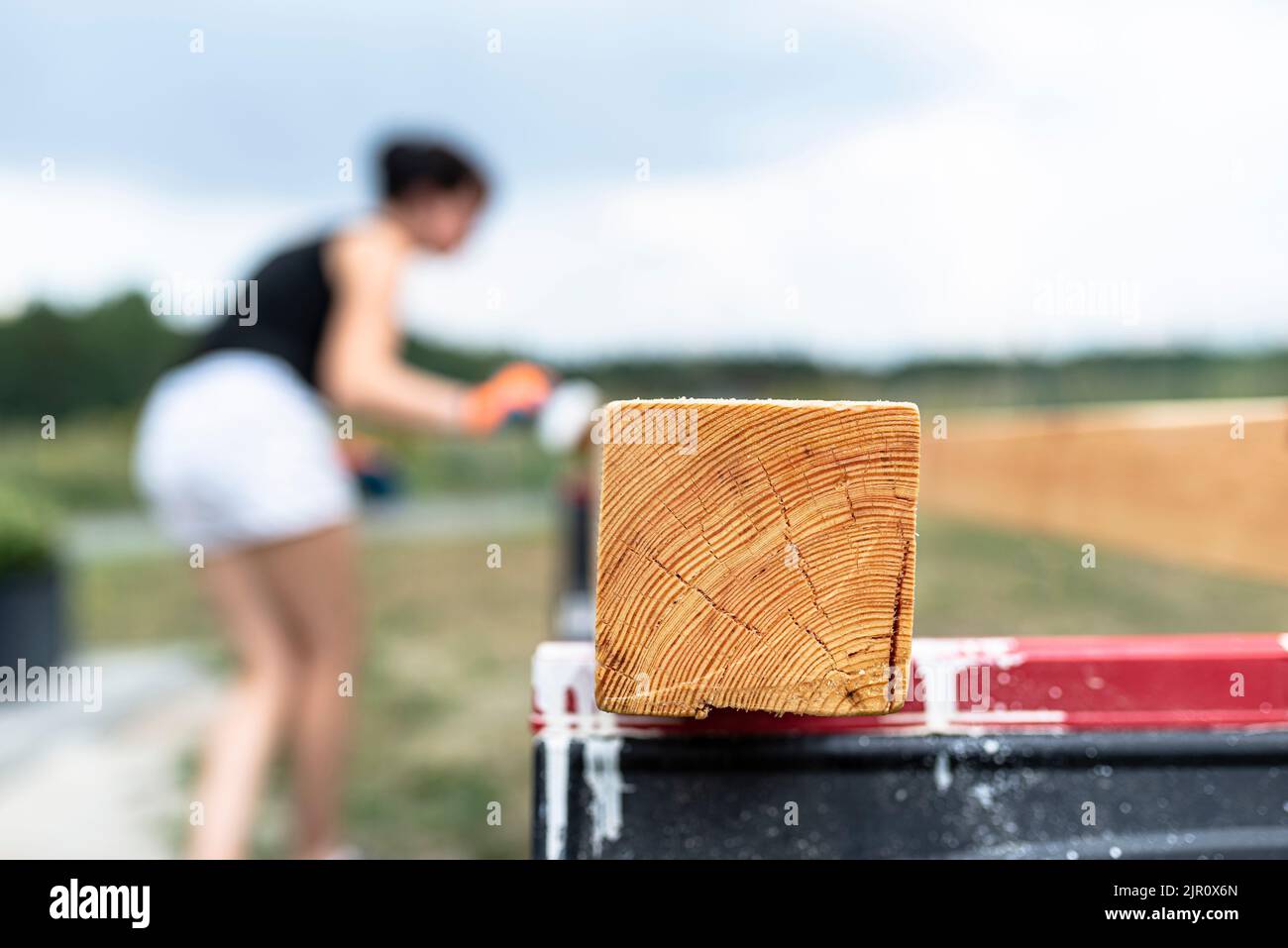 Die Frau imprägniert roh gehobelte Kiefernbalken mit Abmessungen von 100x100mm mit einer farblos imprägnierten. Stockfoto