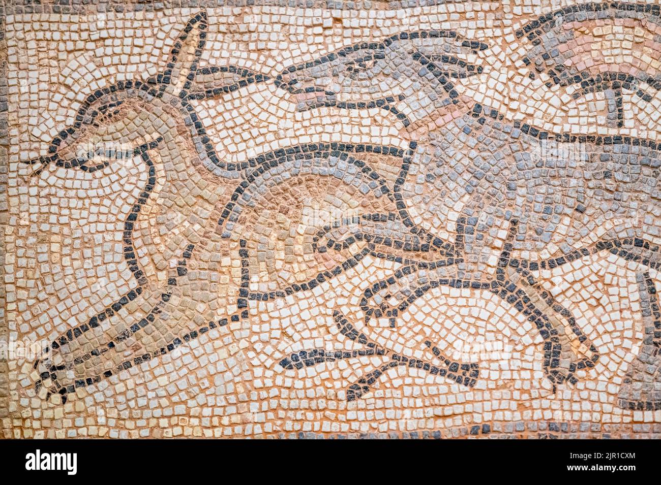 Bodenmosaik aus Kalkstein und Tesserae. Ein Stück aus Syrien und datiert etwa in die Jahre 350-400 n. Chr. Gegenstand gesehen in der Royal Ontario Mus Stockfoto