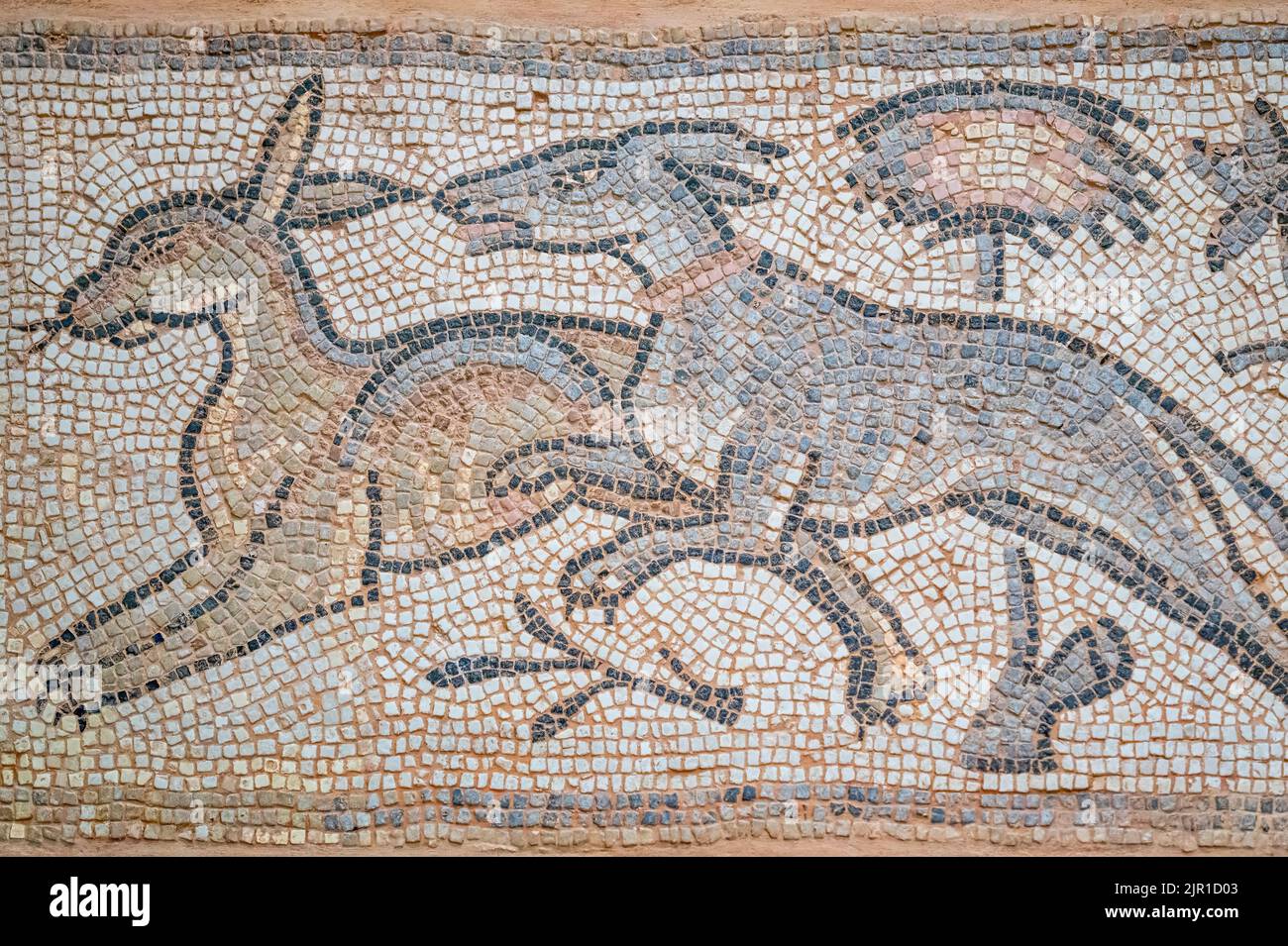 Bodenmosaik aus Kalkstein und Tesserae. Ein Stück aus Syrien und datiert etwa in die Jahre 350-400 n. Chr. Gegenstand gesehen in der Royal Ontario Mus Stockfoto