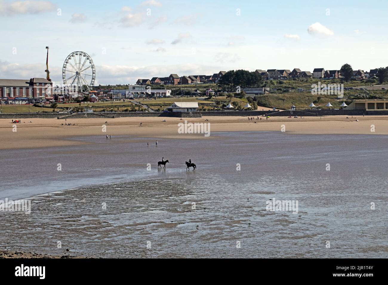 Pferde am Strand Stockfoto